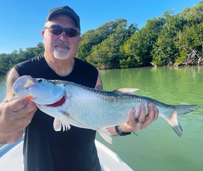 Tarpon Fishing in Tavernier, Florida
