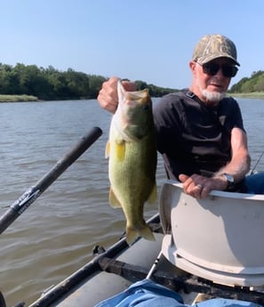Largemouth Bass fishing in Graford, Texas