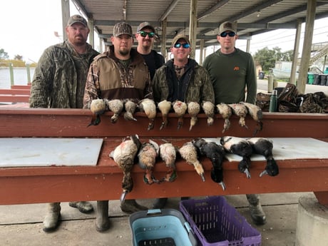 Fishing in Saint Bernard, Louisiana
