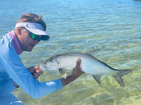 Tarpon Fishing in Big Pine Key, Florida