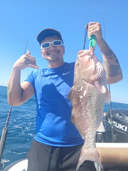 Fishing in St. Petersburg, Florida