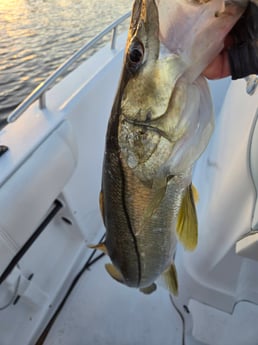 Fishing in Lakeland, Florida