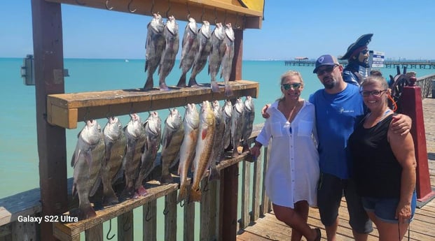 Black Drum, Redfish Fishing in Port Isabel, Texas