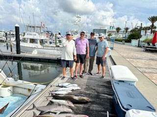 Amberjack, False Albacore, Kingfish Fishing in West Palm Beach, Florida