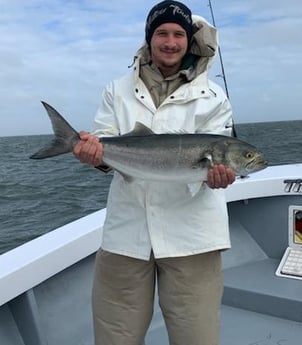 Bluefish Fishing in Hatteras, North Carolina