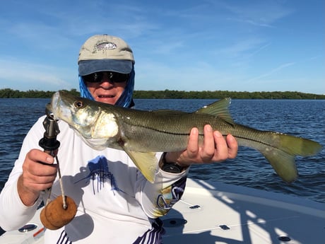 Redfish fishing in Fort Myers Beach, Florida