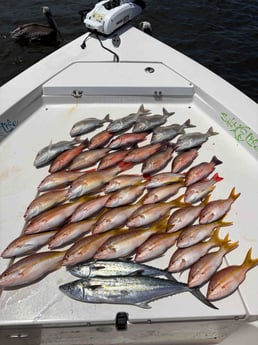 Fishing in Sarasota, Florida