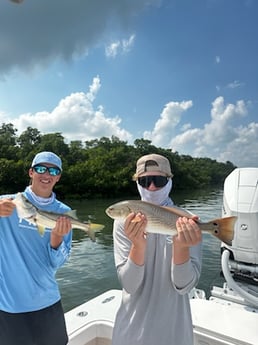 Fishing in Sarasota, Florida