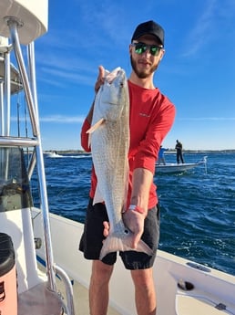 Redfish Fishing in Panama City Beach, Florida