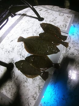 Flounder Fishing in Rio Hondo, Texas