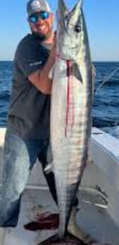 Wahoo Fishing in Clearwater, Florida