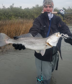 Speckled Trout / Spotted Seatrout fishing in Aransas Pass, Texas