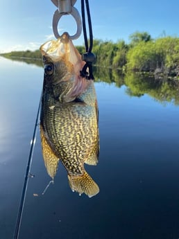 Fishing in Pembroke Pines, Florida