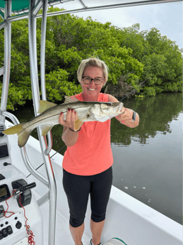 Snook Fishing in Tampa, Florida