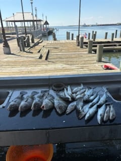 Fishing in Lake Charles, Louisiana