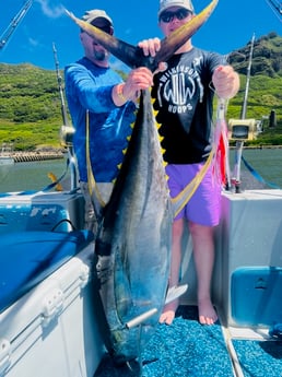 Yellowfin Tuna Fishing in Kapaʻa, Hawaii