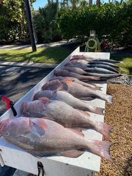 Fishing in Sarasota, Florida