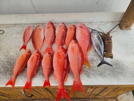 Fishing in Key Largo, Florida