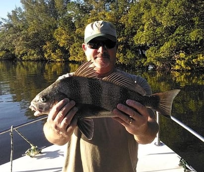 Black Drum Fishing in Melbourne, Florida