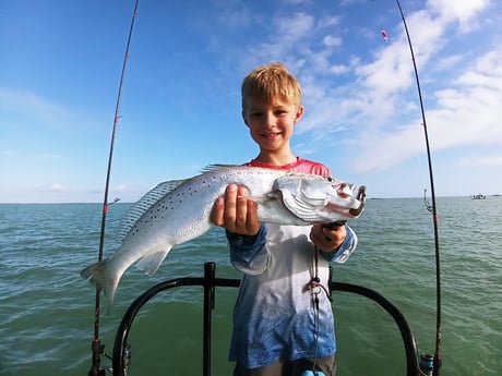 Speckled Trout / Spotted Seatrout Fishing in Rio Hondo, Texas