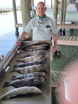 Black Drum, Redfish, Sheepshead, Speckled Trout / Spotted Seatrout fishing in San Leon, Texas