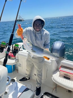 Fishing in Dennis, Massachusetts