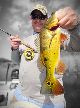 Fishing in Pembroke Pines, Florida