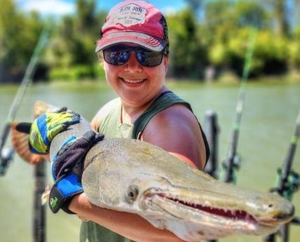 Alligator Gar Fishing in Dallas, Texas