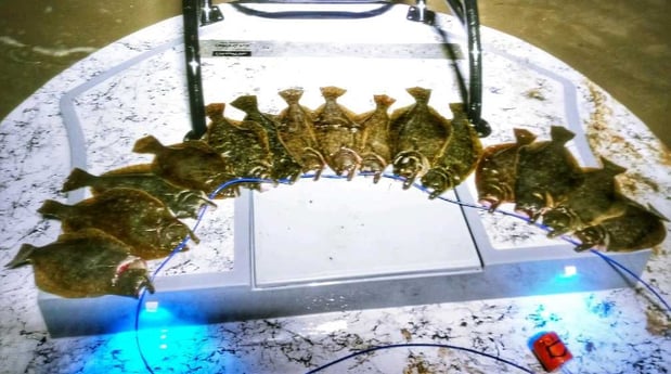 Flounder fishing in Rio Hondo, Texas