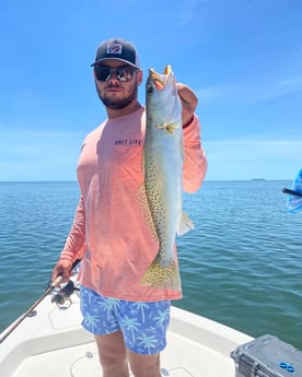 Snook fishing in Key Largo, Florida