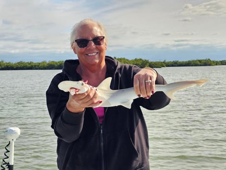 Fishing in Naples, Florida