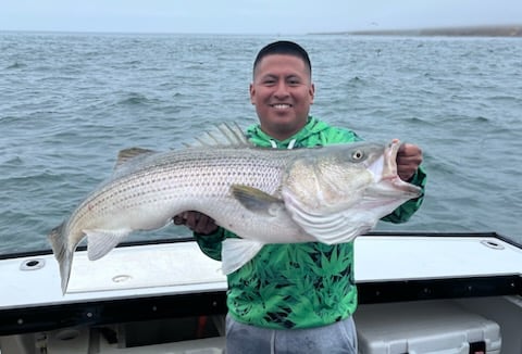 Striped Bass Fishing in Montauk, New York
