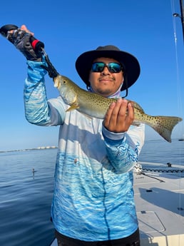Speckled Trout Fishing in Sarasota, Florida