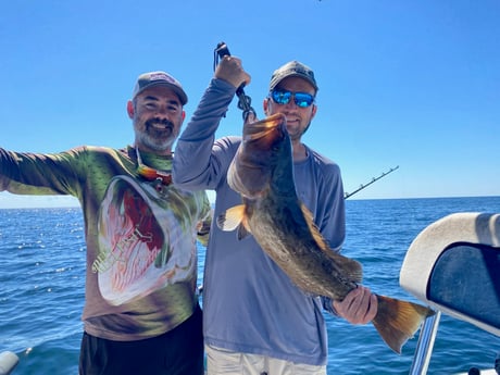Gag Grouper Fishing in Carrabelle, Florida