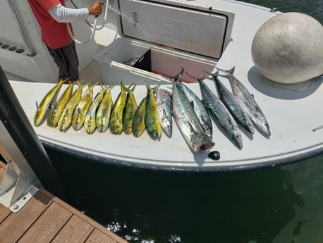 Fishing in Fort Lauderdale, Florida