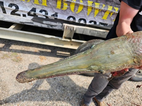 Fishing in Houston, Texas