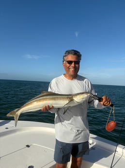 Fishing in Largo, Florida