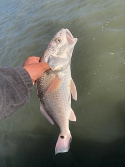 Fishing in Rockport, Texas