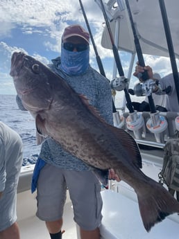 Fishing in Sarasota, Florida