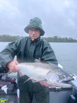 Chinook Salmon Fishing in
