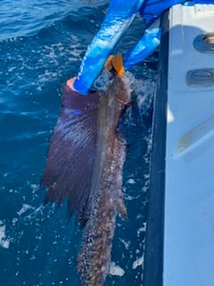 Fishing in Pompano Beach, Florida