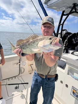 Fishing in Tarpon Springs, Florida