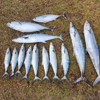 Fishing in Crestview, Florida