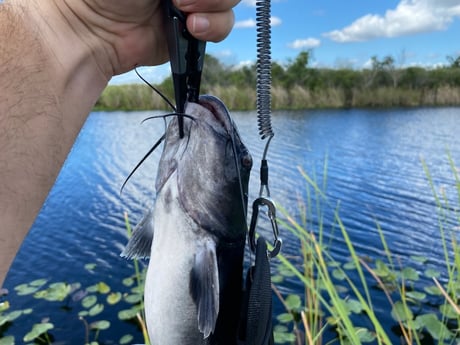 Fishing in Pembroke Pines, Florida