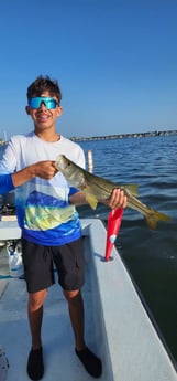 Fishing in Bradenton, Florida