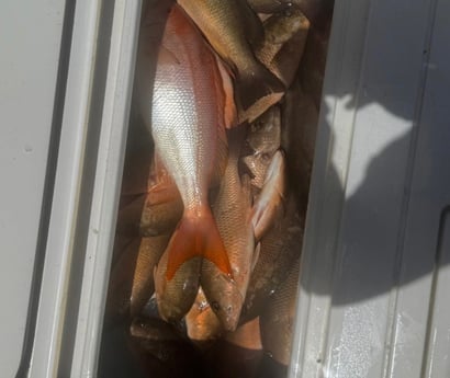 Fishing in Key West, Florida