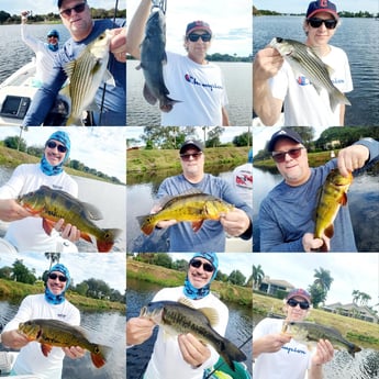 Largemouth Bass, Peacock Bass, Striped Bass Fishing in Delray Beach, Florida