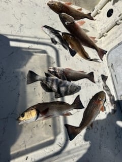 Fishing in St. Augustine, Florida