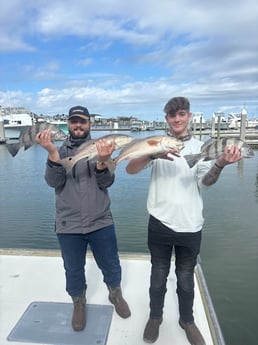 Fishing in St. Augustine, Florida