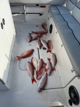 Fishing in Fernandina Beach, Florida